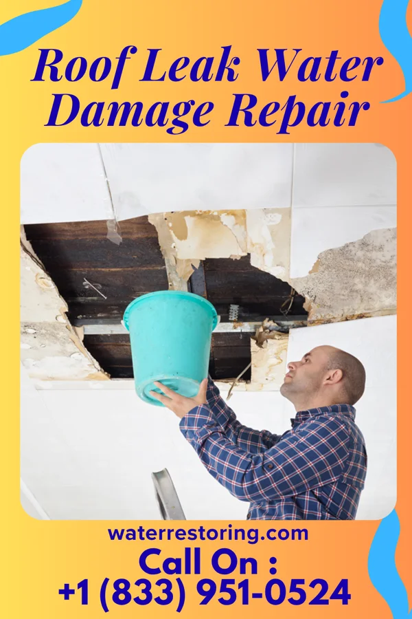 Roof Leak Water Damage Repair in Lorenzo, TX